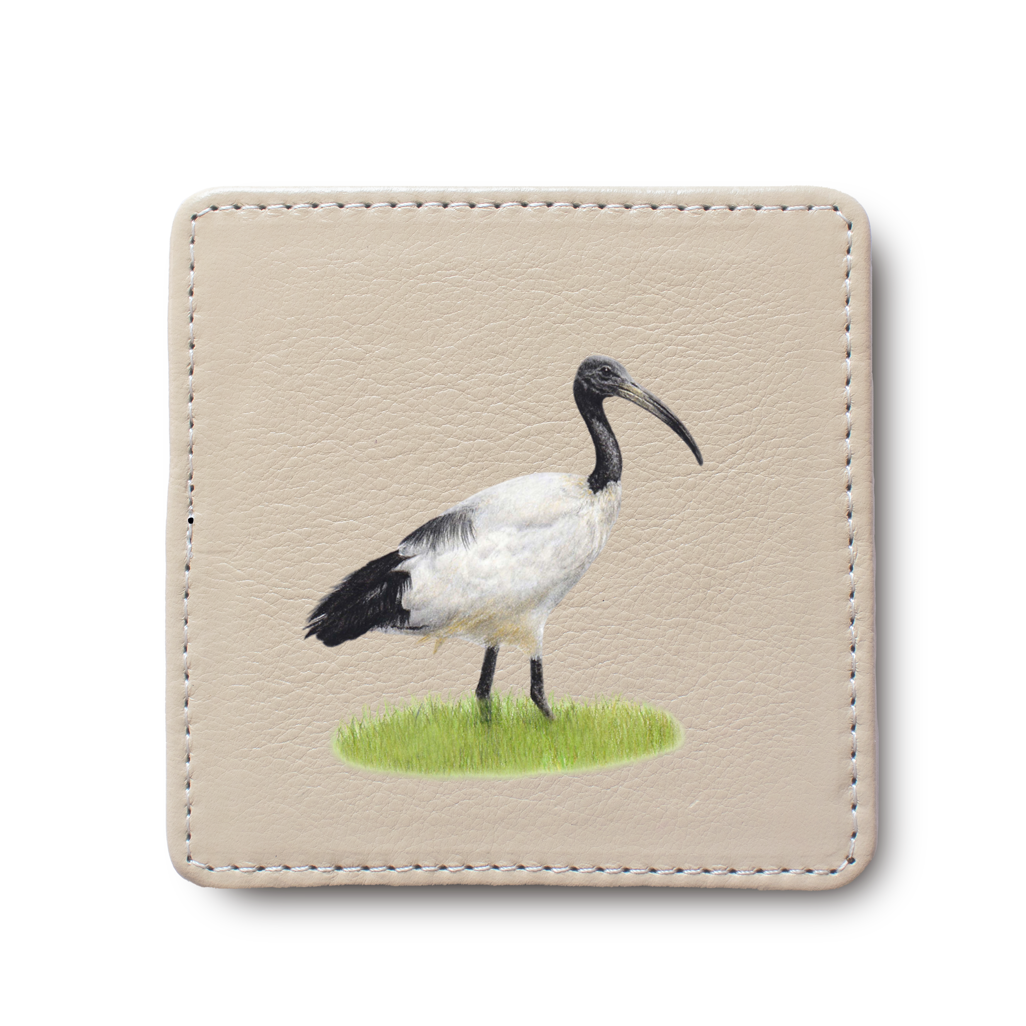African Sacred Ibis Bird leather coaster by South African wildlife artist Matthew Bell