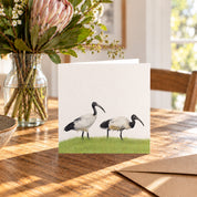 African Sacred Ibis Greeting Card - SI