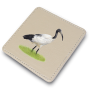 African Sacred Ibis Leather Coaster