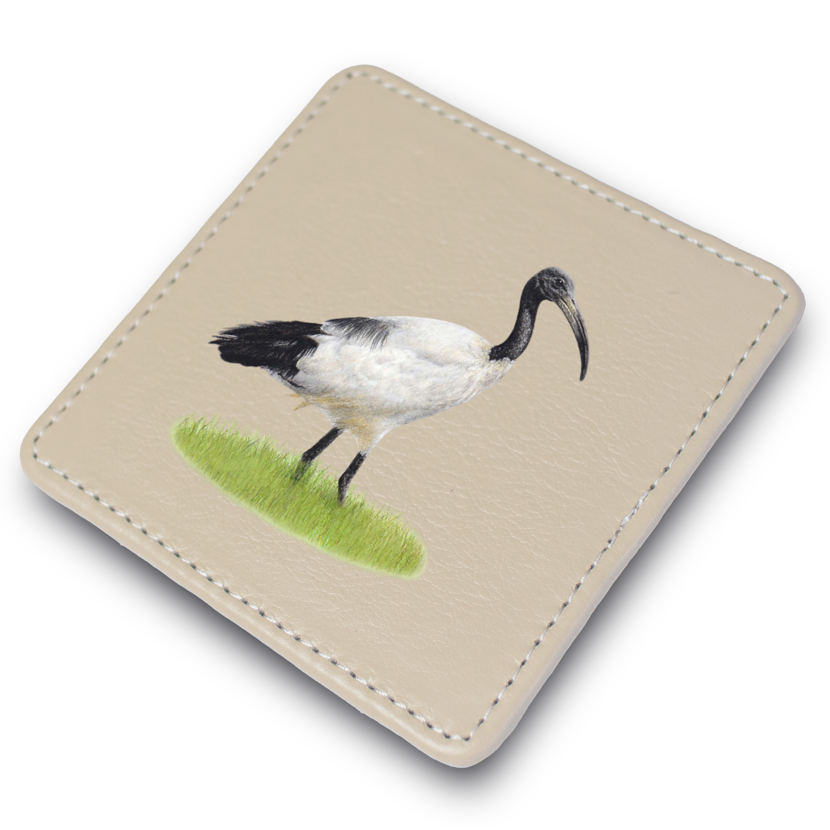 African Sacred Ibis Leather Coaster