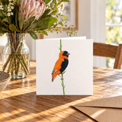 Southern Red Bishop Greeting Card - SRB