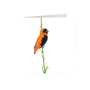 Southern Red Bishop Greeting Card - SRB