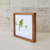 Kiaat wood framed miniature artwork of a Swallow Tailed Bee Eater, part of wildlife artist Matthew Bell's birds of South Africa gallery