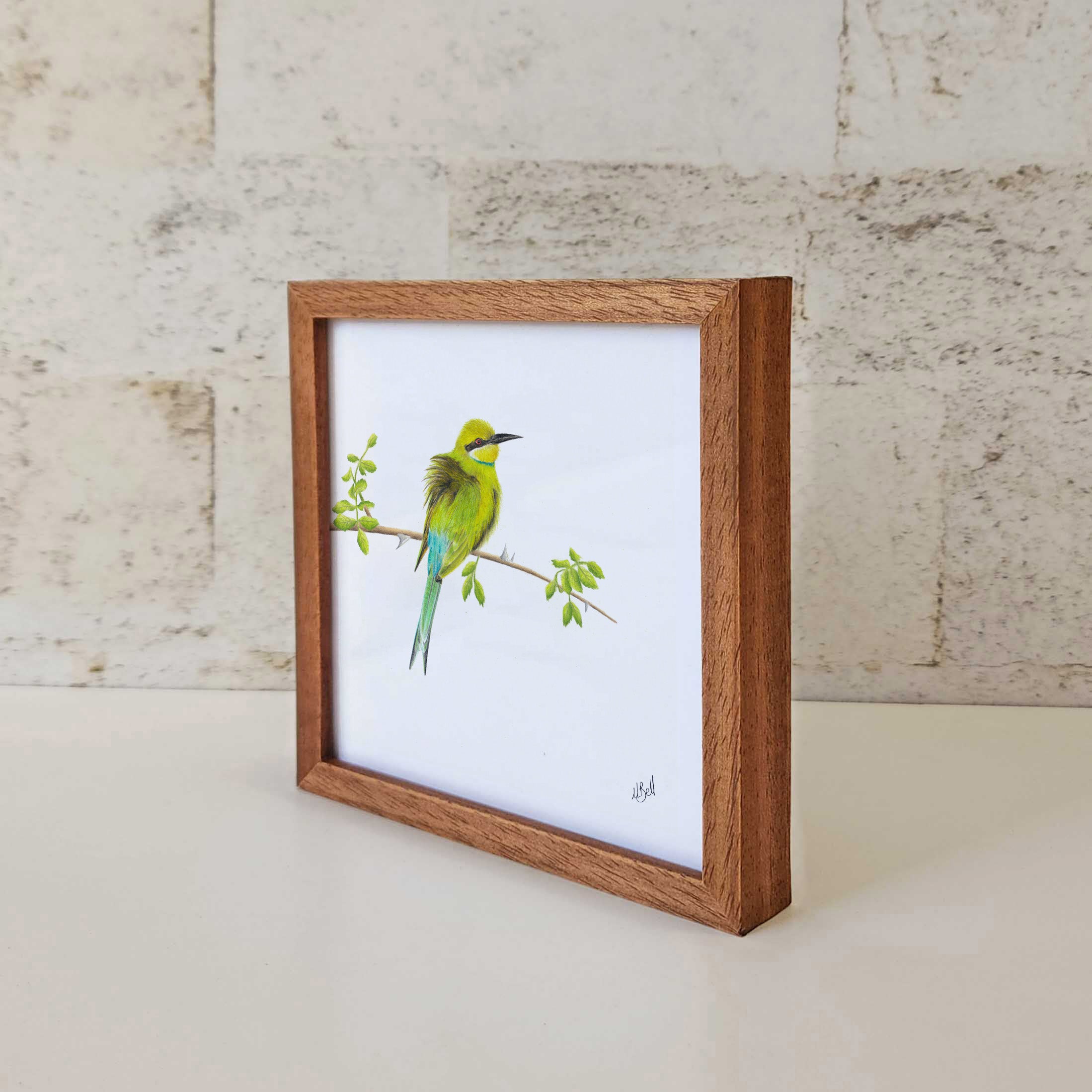 Kiaat wood framed miniature artwork of a Swallow Tailed Bee Eater, part of wildlife artist Matthew Bell's birds of South Africa gallery