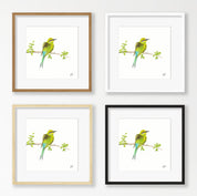 Swallow Tailed Bee Eater - STBE1