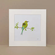 Swallow Tailed Bee Eater original South African pencil artwork