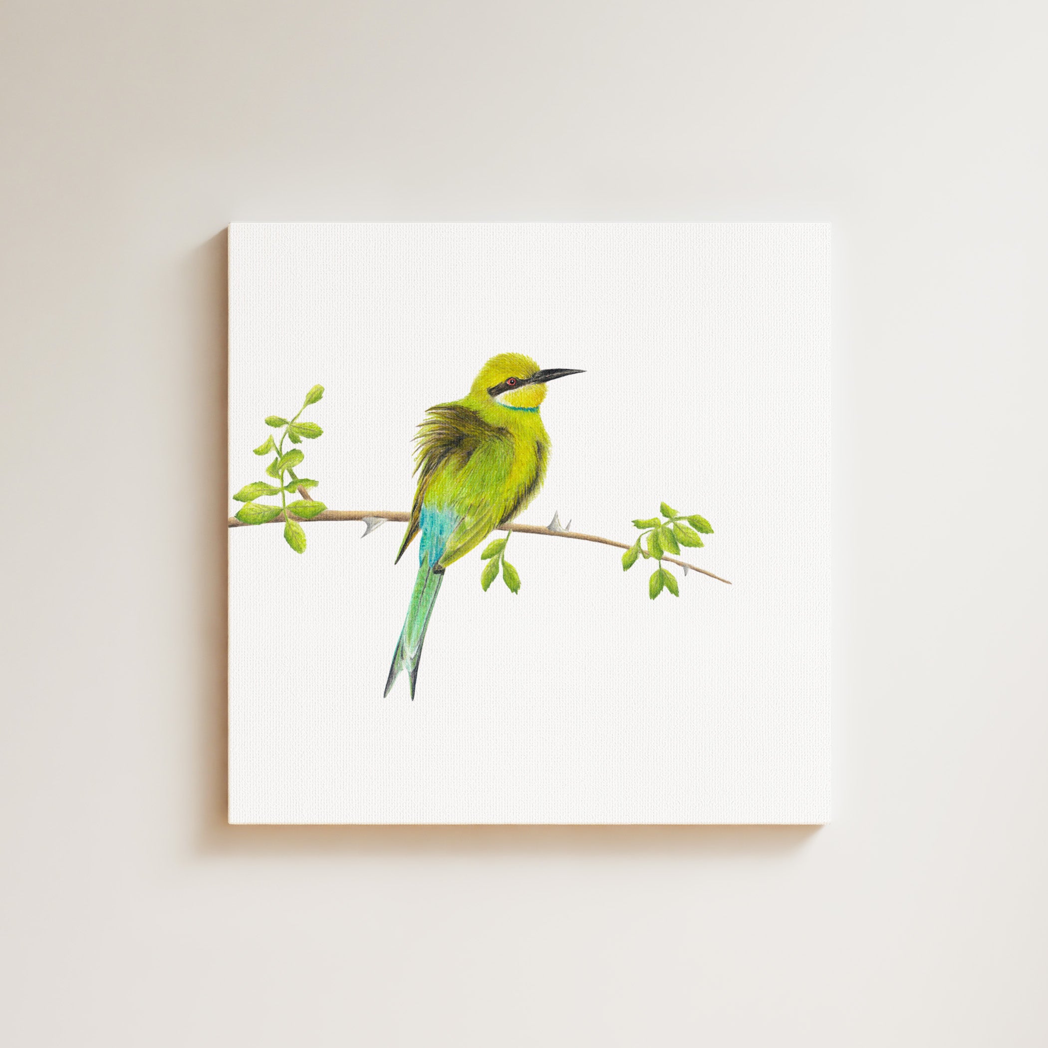 Swallow Tailed Bee Eater drawing on canvas by South African wildlife artist Matthew Bell