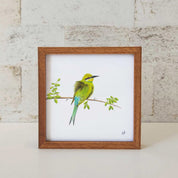 Kiaat wood framed miniature artwork of a Swallow Tailed Bee Eater, part of wildlife artist Matthew Bell's birds of South Africa gallery