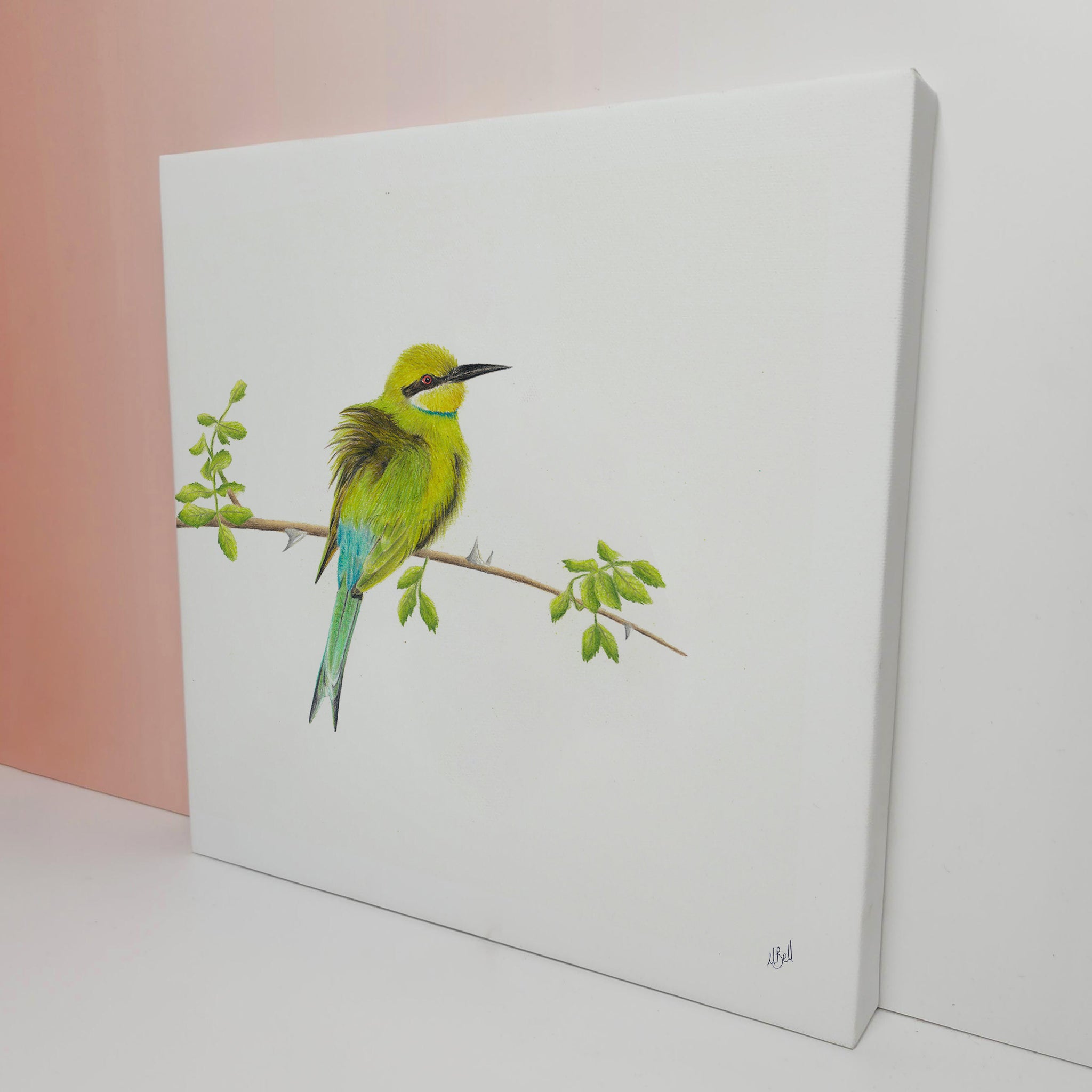 South African bird artwork on canvas, stretched on wooden frame by wildlife artist Matthew Bell of a Swallow Tailed Bee Eater