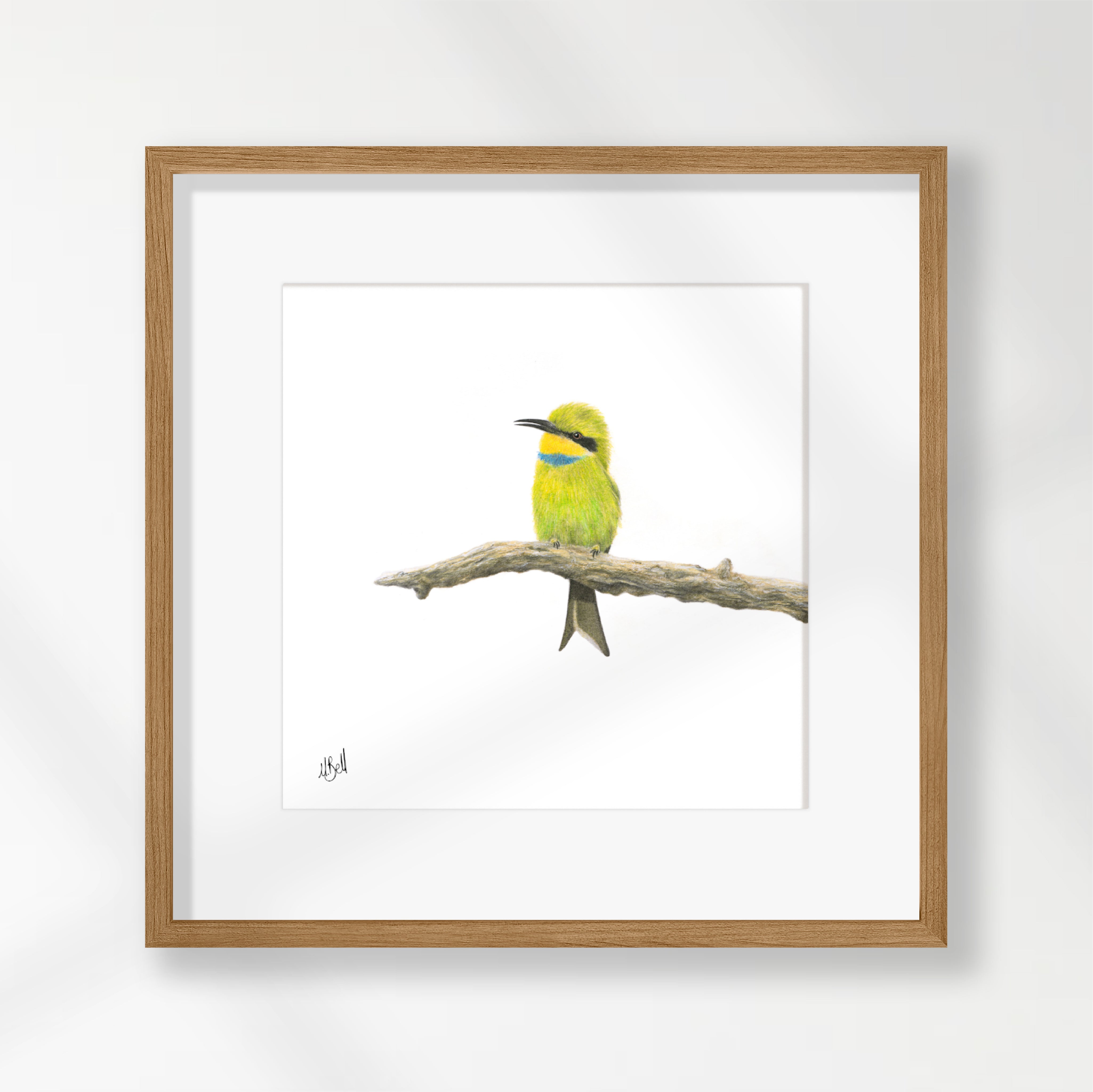 Swallow Tailed Bee Eater - STBE2
