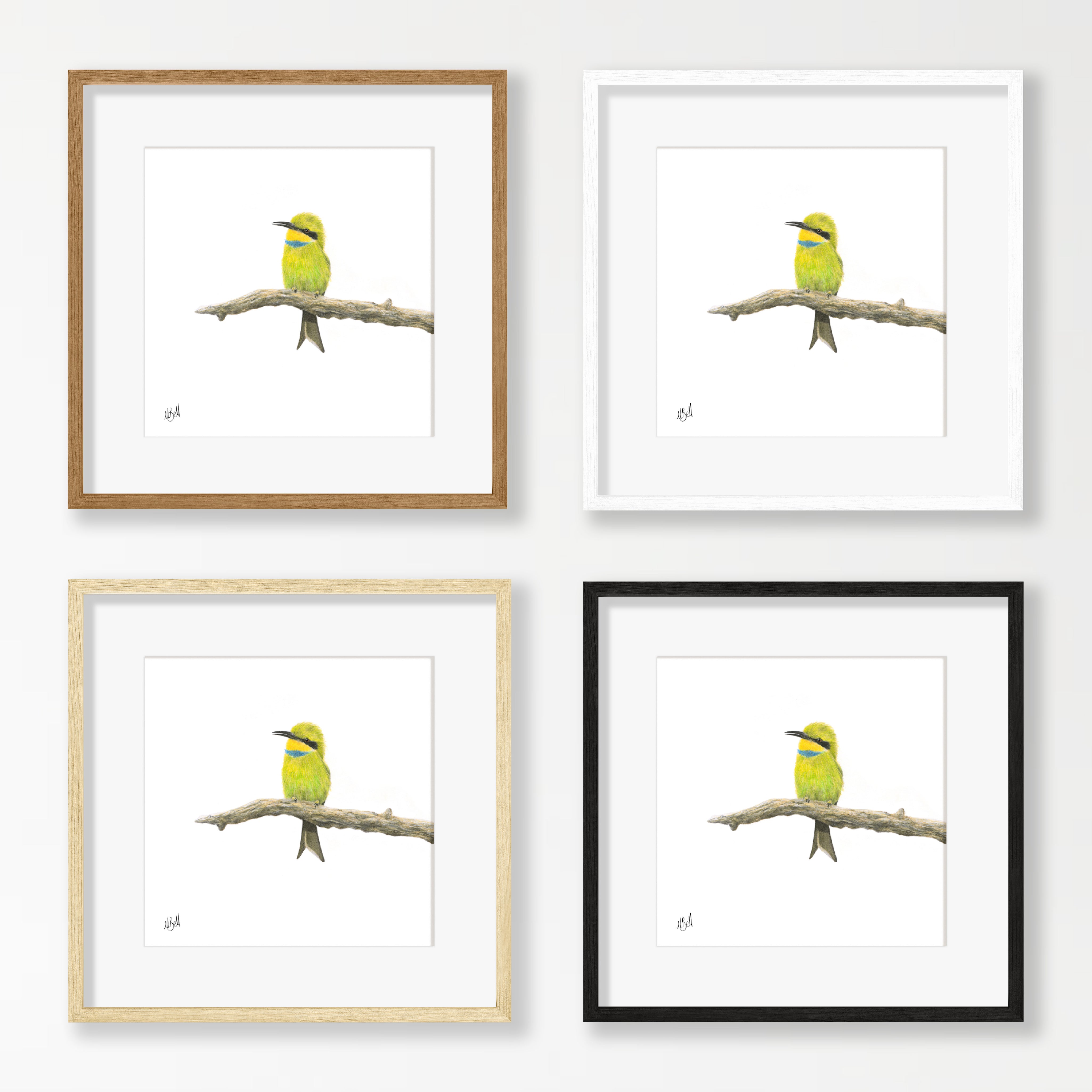 Swallow Tailed Bee Eater - STBE2