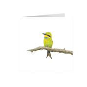 Swallow Tailed Bee Eater Greeting Card - STBE2