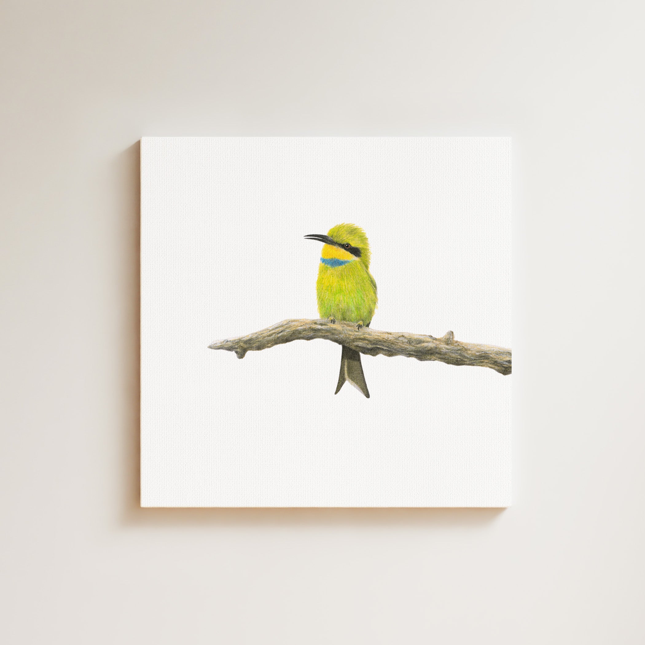 Swallow Tailed Bee Eater drawing on canvas by South African wildlife artist Matthew Bell
