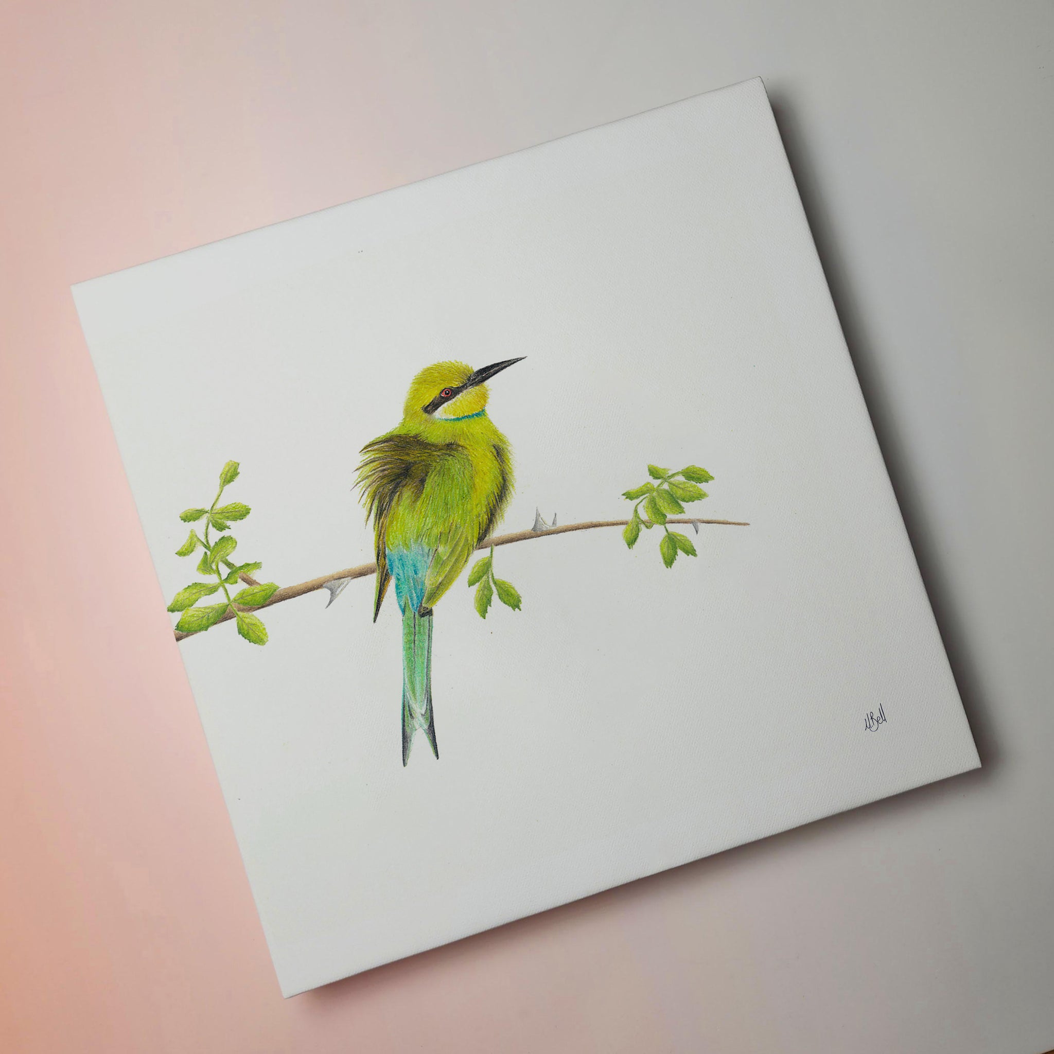 South African bird artwork on canvas, stretched on wooden frame by wildlife artist Matthew Bell of a Swallow Tailed Bee Eater