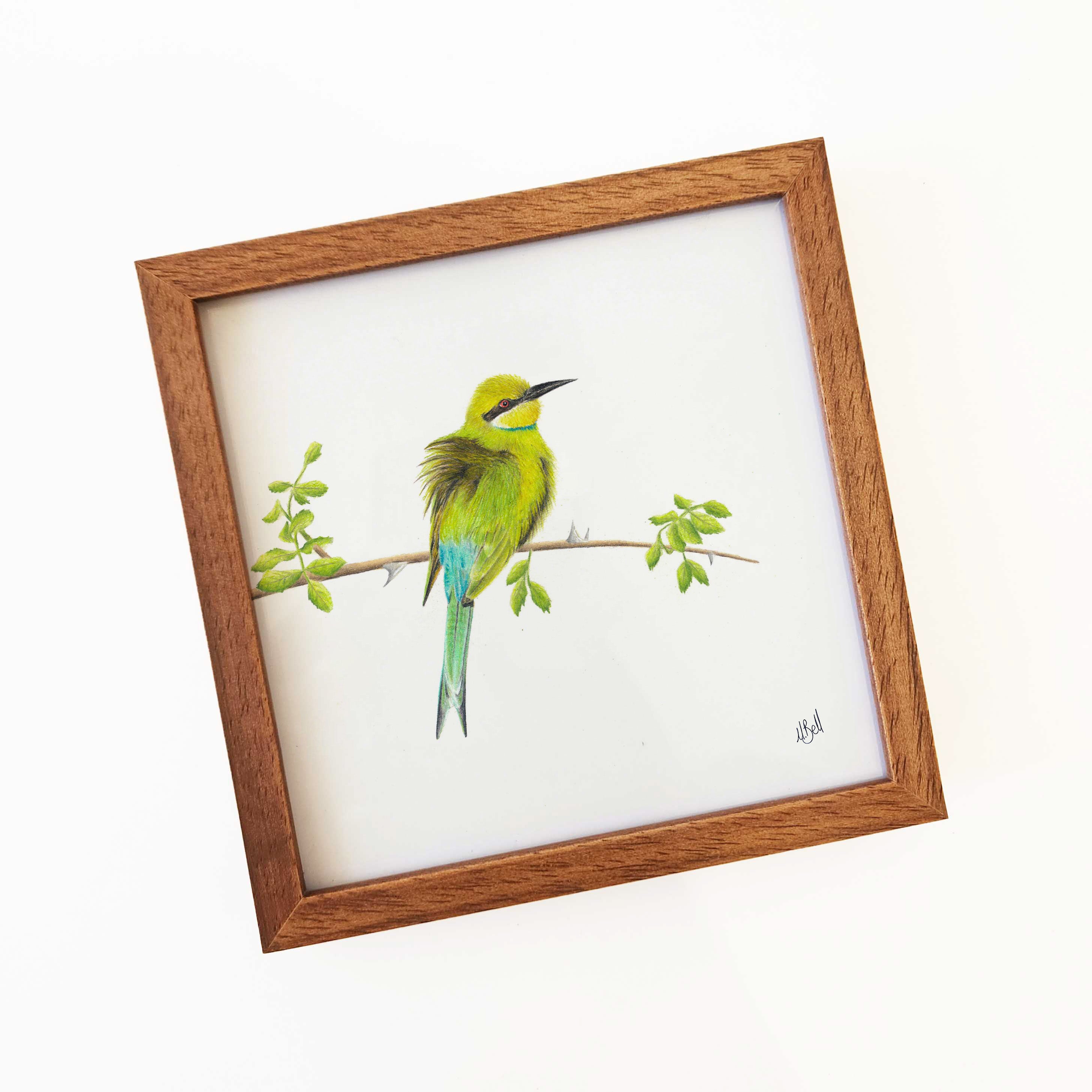 Kiaat wood framed miniature artwork of a Swallow Tailed Bee Eater, part of wildlife artist Matthew Bell's birds of South Africa gallery