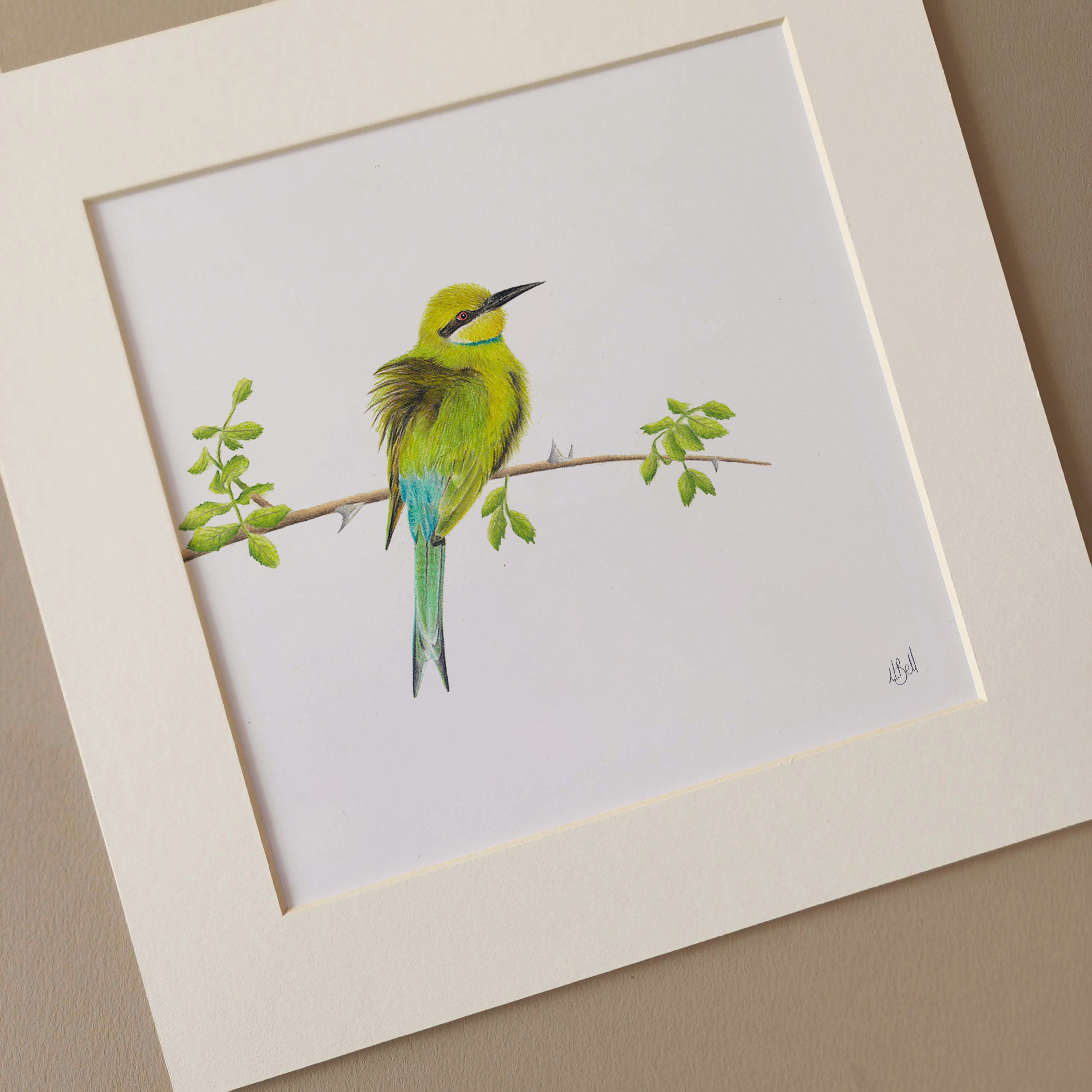 Swallow Tailed Bee Eater original South African pencil artwork