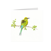 Swallow Tailed Bee Eater Greeting Card - STBE1