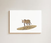 Serval drawing on canvas by South African wildlife artist Matthew Bell