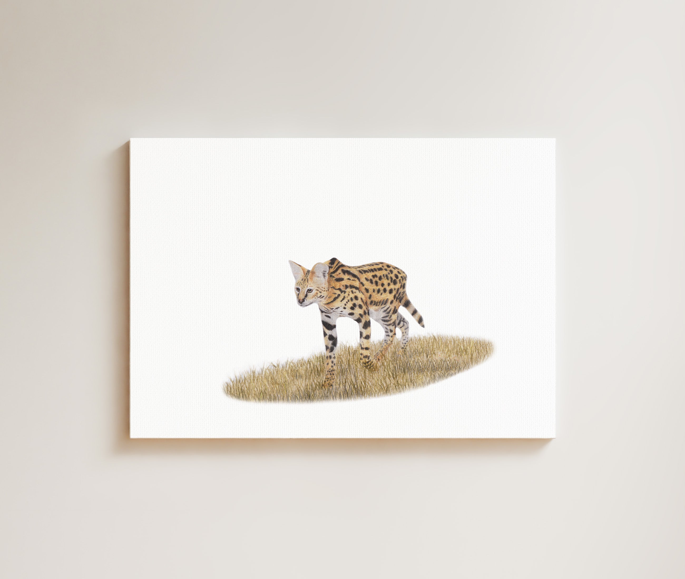 Serval drawing on canvas by South African wildlife artist Matthew Bell
