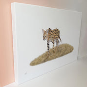 Serval (SVL) on Canvas