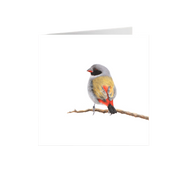 Swee Waxbill Greeting Card - SWX