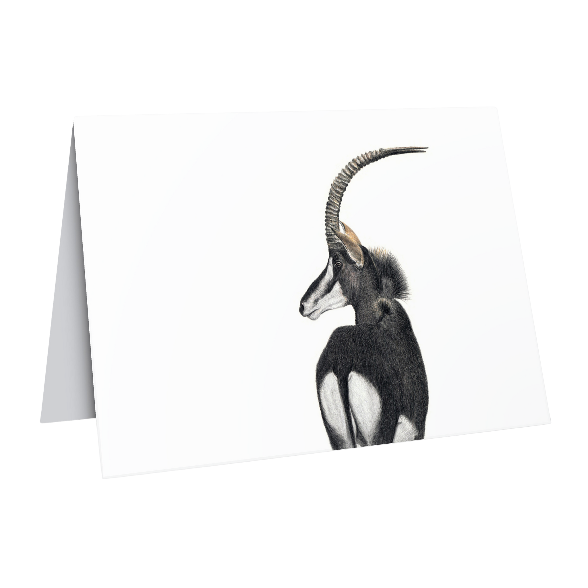 Fine art sable antelope wildlife greeting card