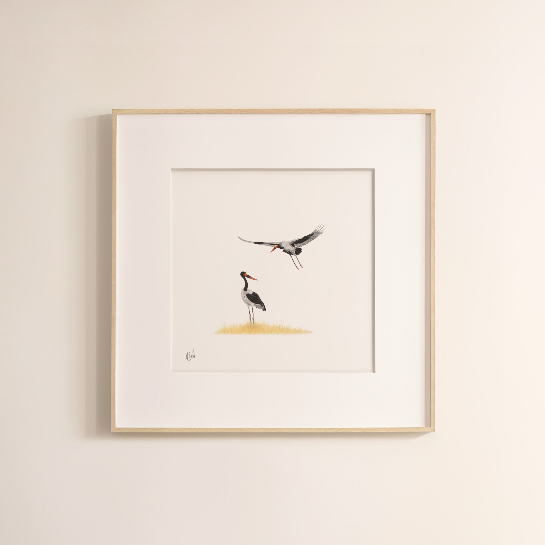 Saddle_Billed_Storks_wildlife_art_drawing.jpg