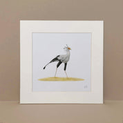 Secretary bird artwork print by wildlife artist Matthew Bell