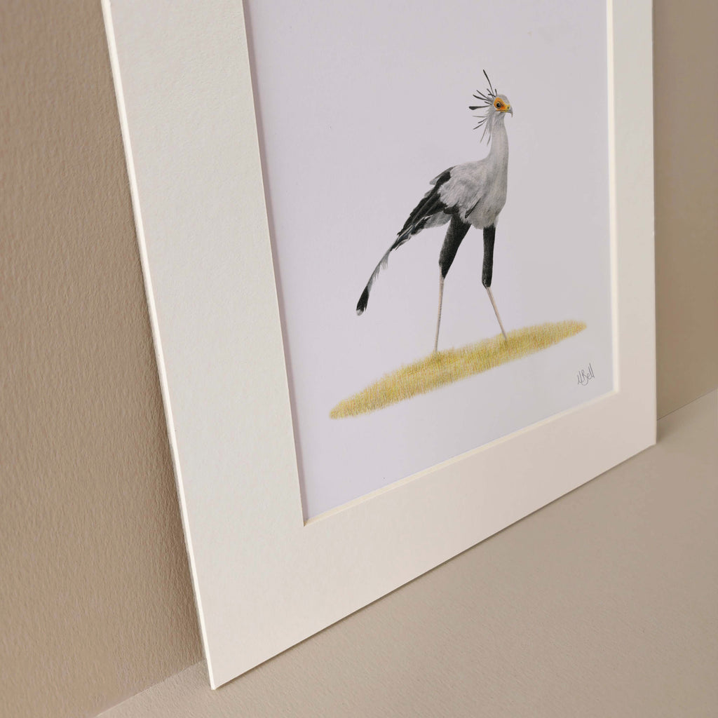 Secretary bird artwork print by wildlife artist Matthew Bell