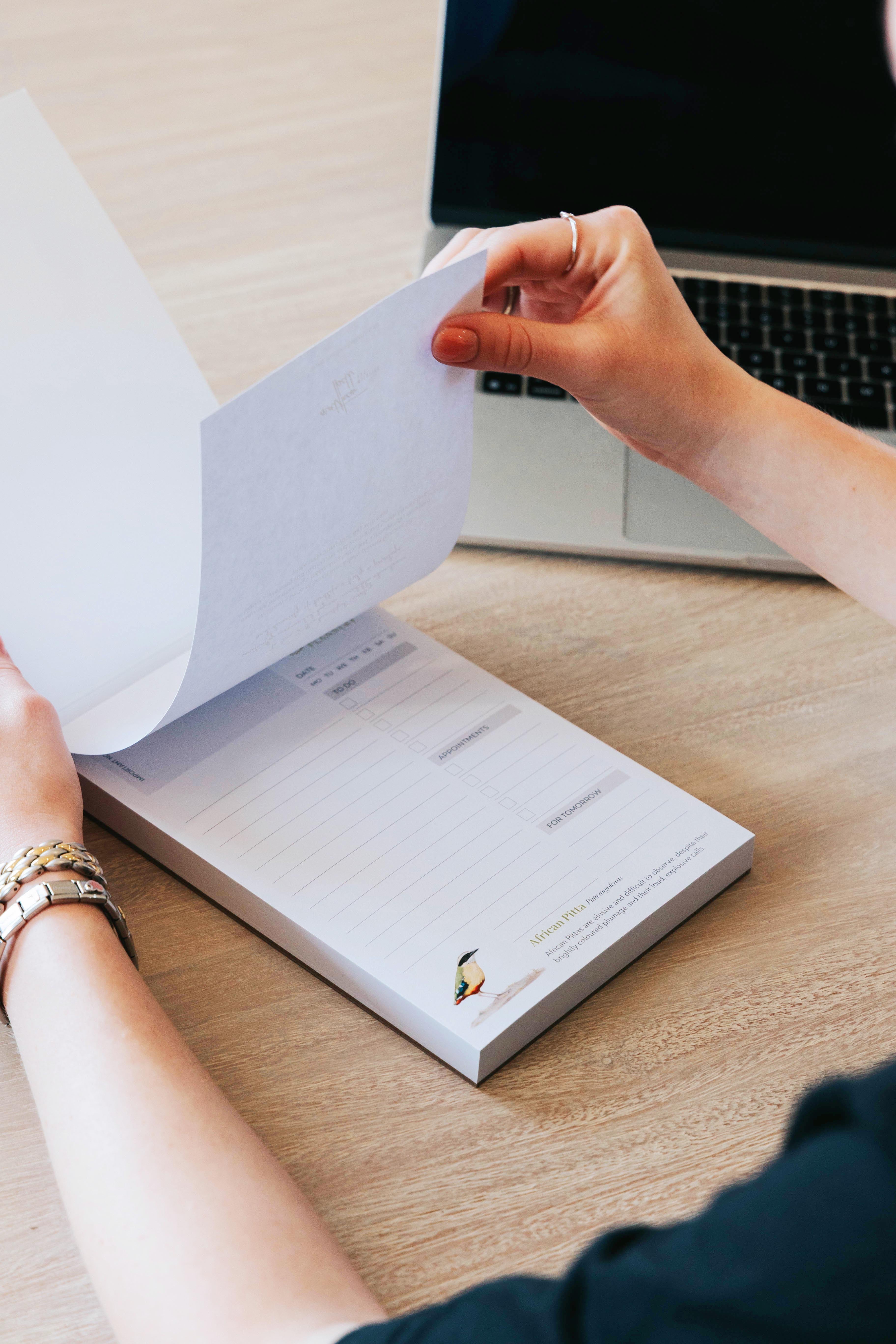 Birds of South Africa Daily planner by South African wildlife artist Matthew Bell - African Pitta