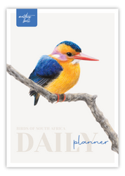Birds of South Africa Daily planner by South African wildlife artist Matthew Bell - African Pygmy Kingfisher