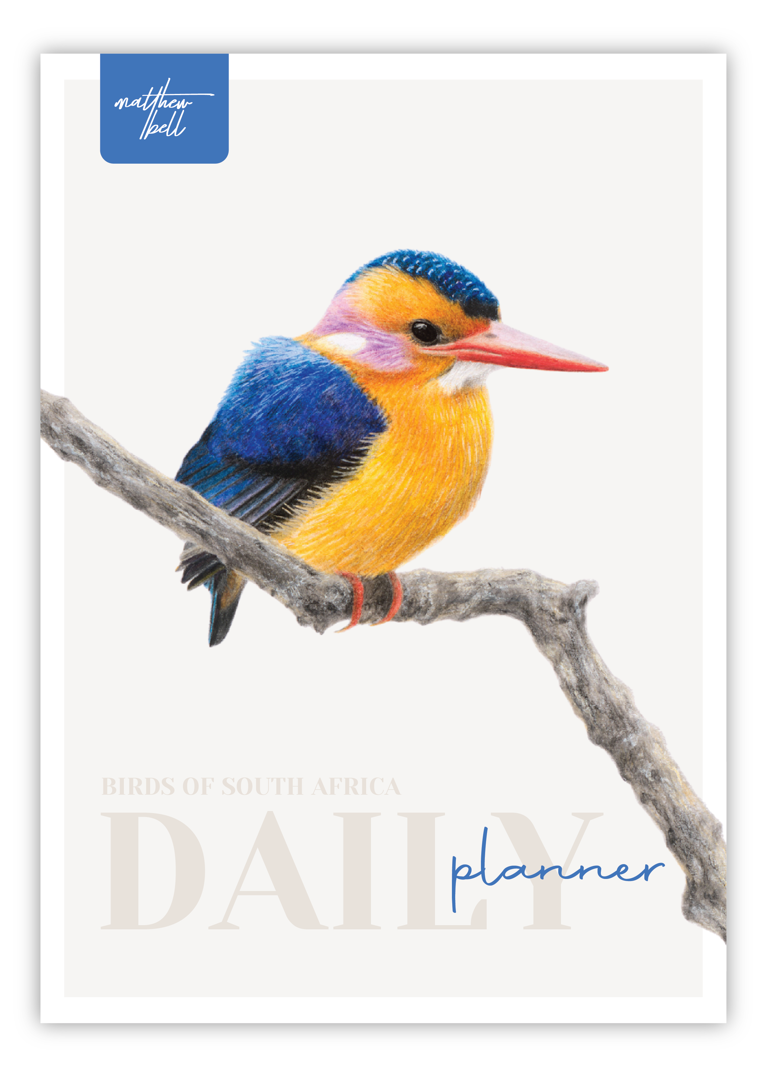 Birds of South Africa Daily planner by South African wildlife artist Matthew Bell - African Pygmy Kingfisher