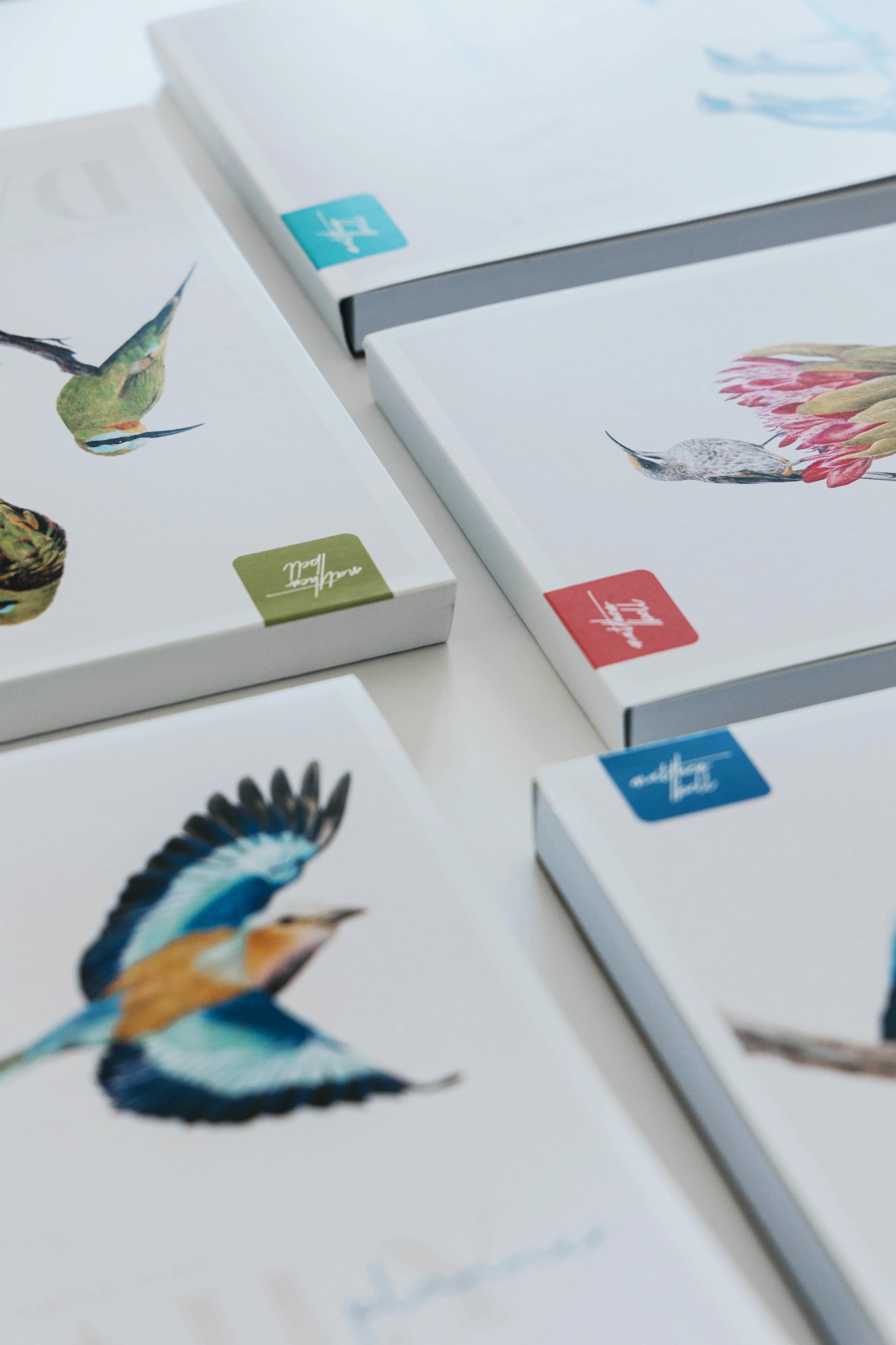 Birds of South Africa Daily planner by South African wildlife artist Matthew Bell