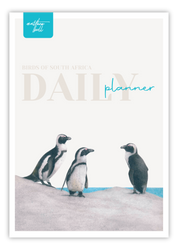 Birds of South Africa Daily planner by South African wildlife artist Matthew Bell - African Penguins