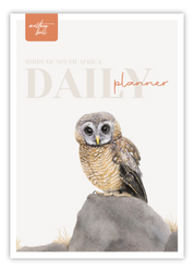 Birds of South Africa Daily planner by South African wildlife artist Matthew Bell - African Wood Owl