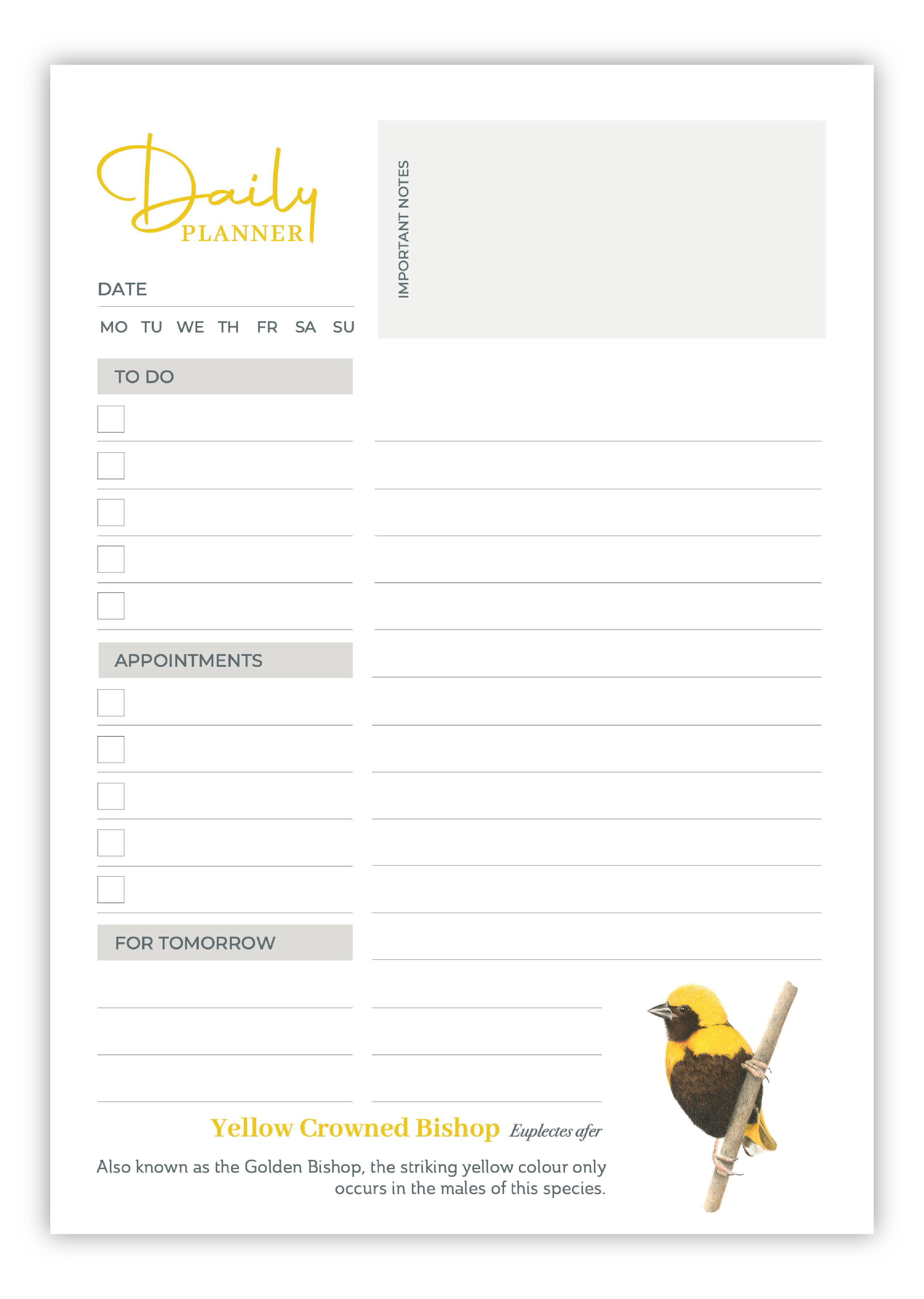 Birds of South Africa Daily planner by South African wildlife artist Matthew Bell - Yellow Crowned Bishop