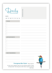 Birds of South Africa Daily planner by South African wildlife artist Matthew Bell - European Bee Eater