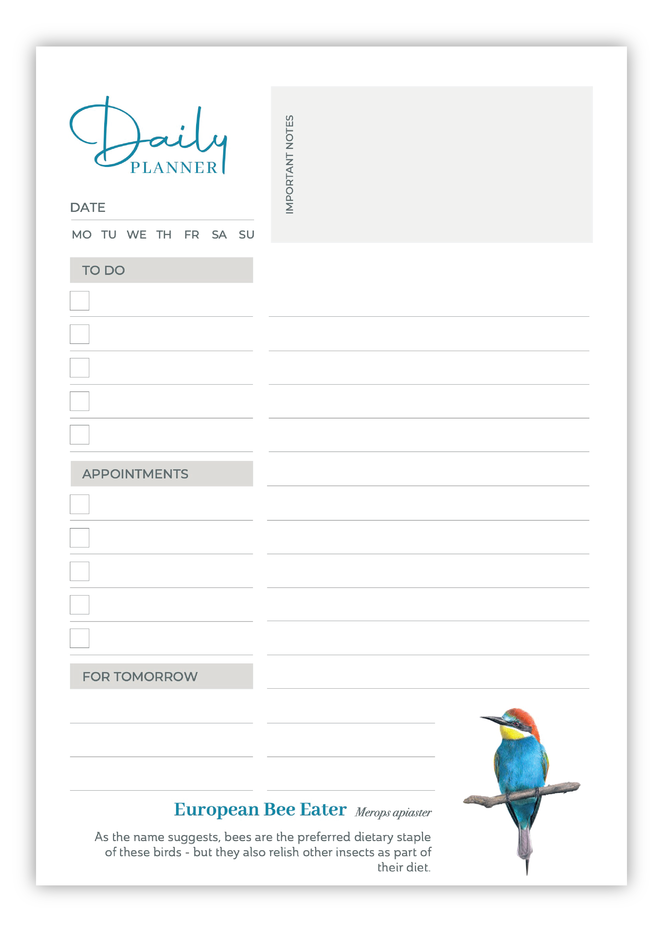 Birds of South Africa Daily planner by South African wildlife artist Matthew Bell - European Bee Eater