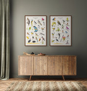 South African birds poster by wildlife artist Matthew Bell