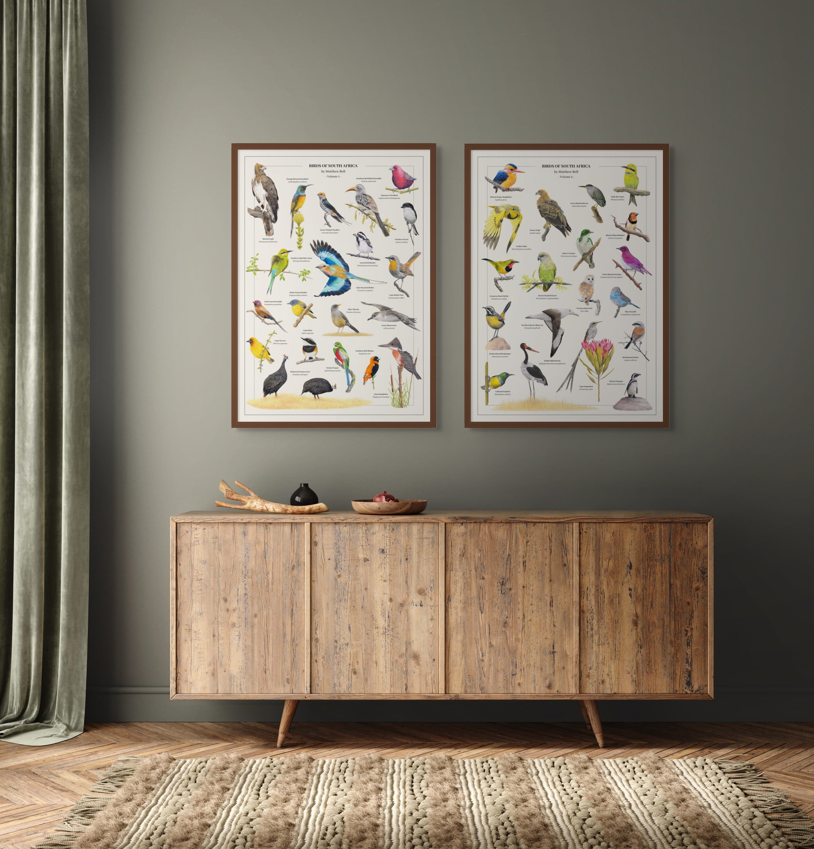 South African birds poster by wildlife artist Matthew Bell
