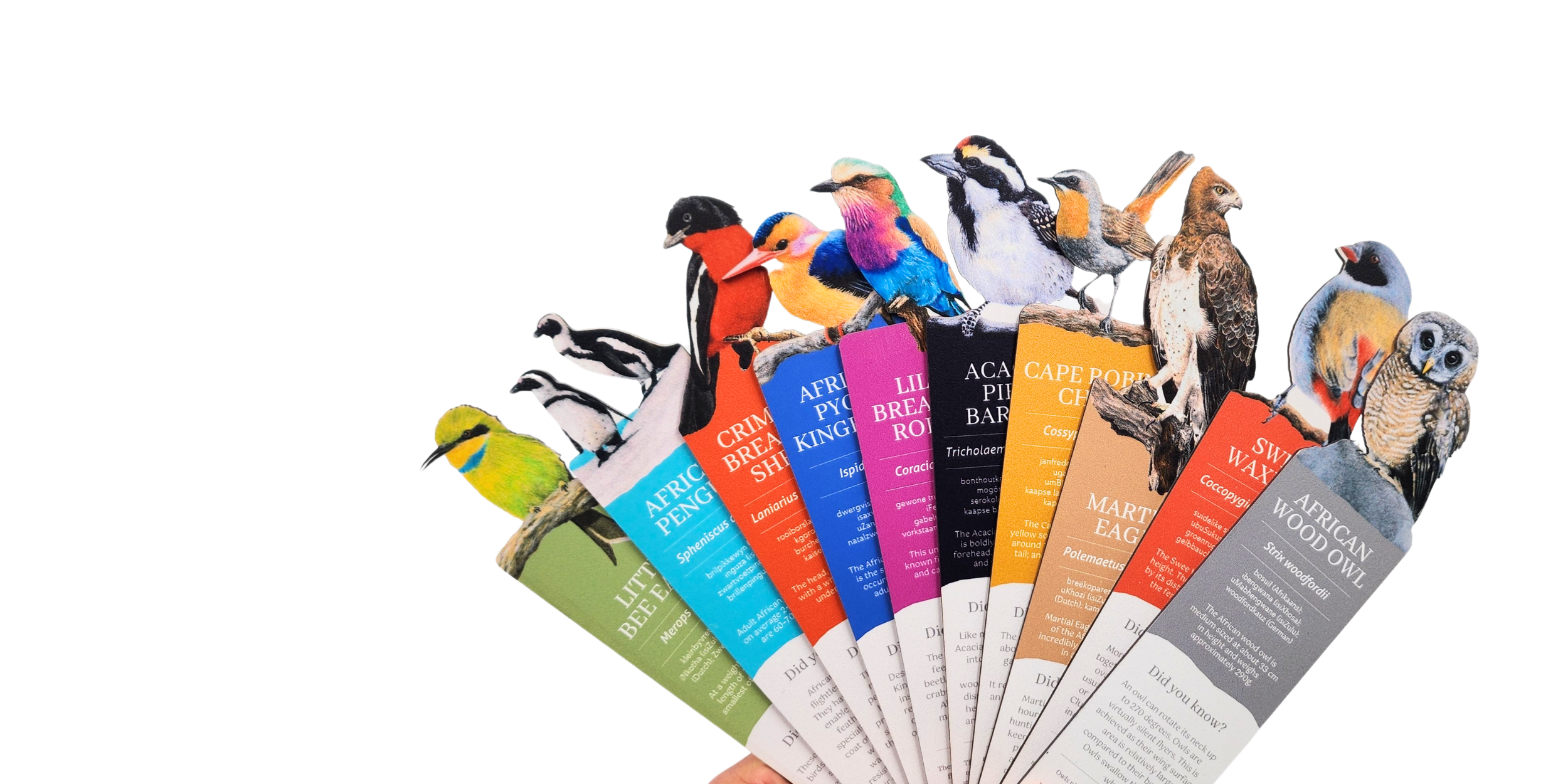 South_African_Birds_Premium_Wooden_Bookmarks.png