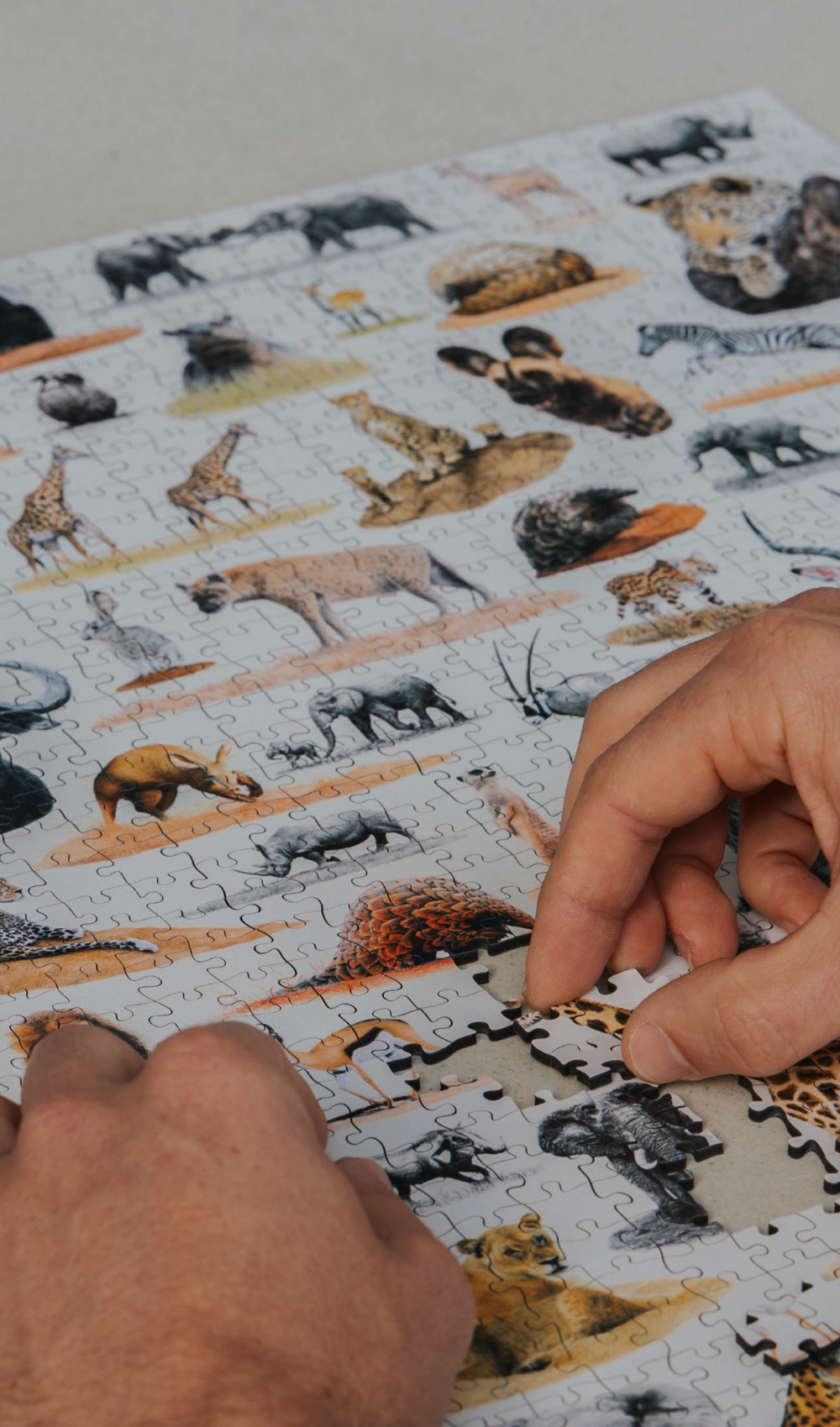 South_African_wildlife_wooden_puzzle.png