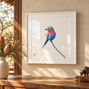Lilac Breasted Roller - LBR2