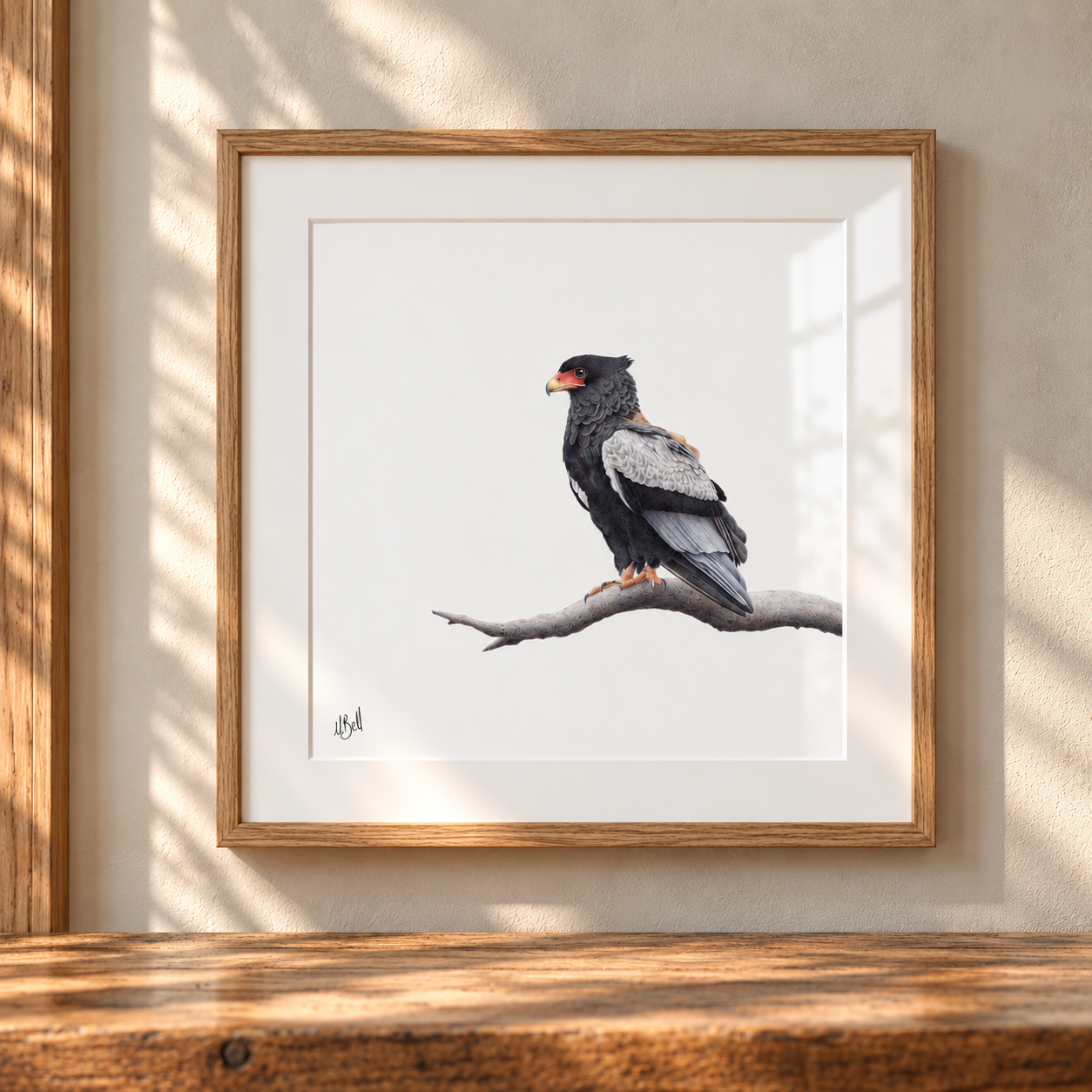 Bateleur - BAT3