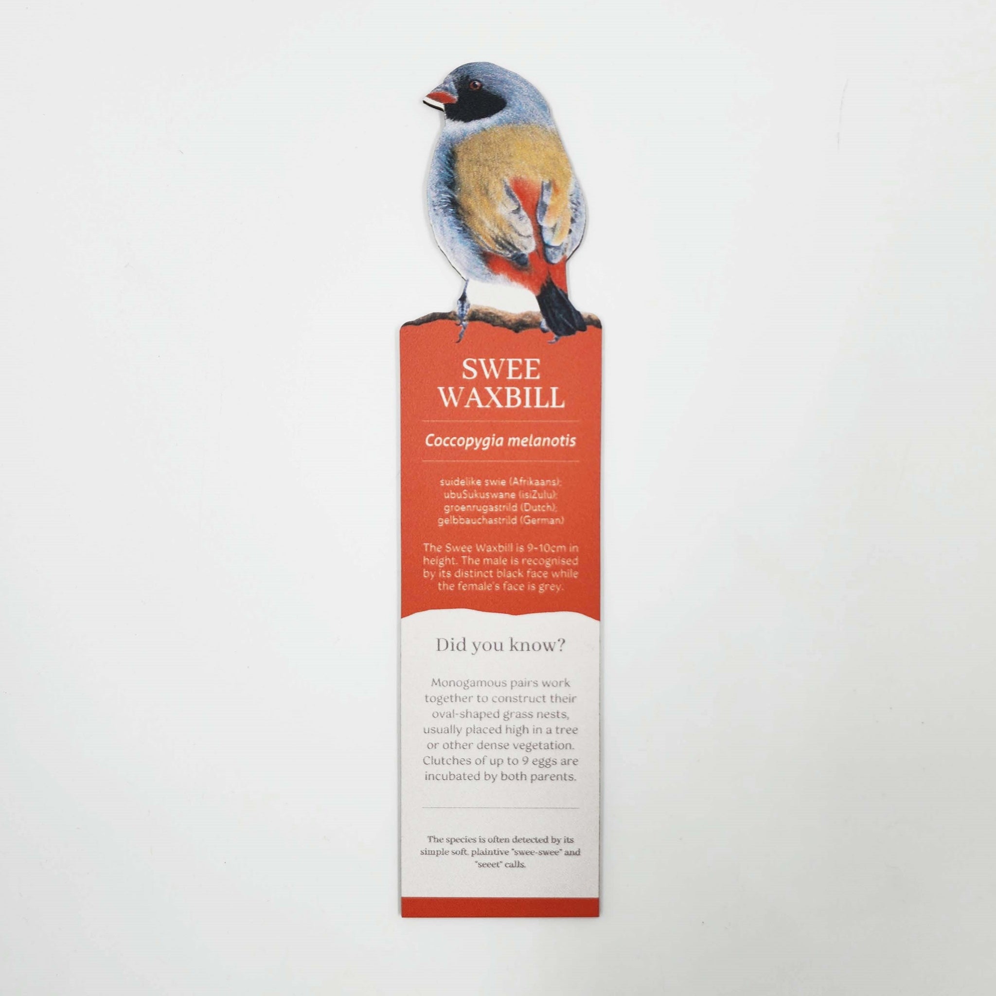 South African birds premium quality gift wooden wildlife bookmark, Swee Waxbill