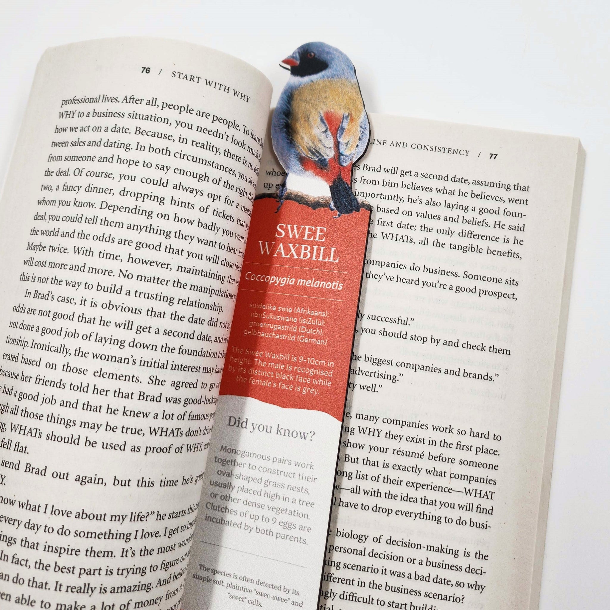 South African birds premium quality gift wooden wildlife bookmark, Swee Waxbill