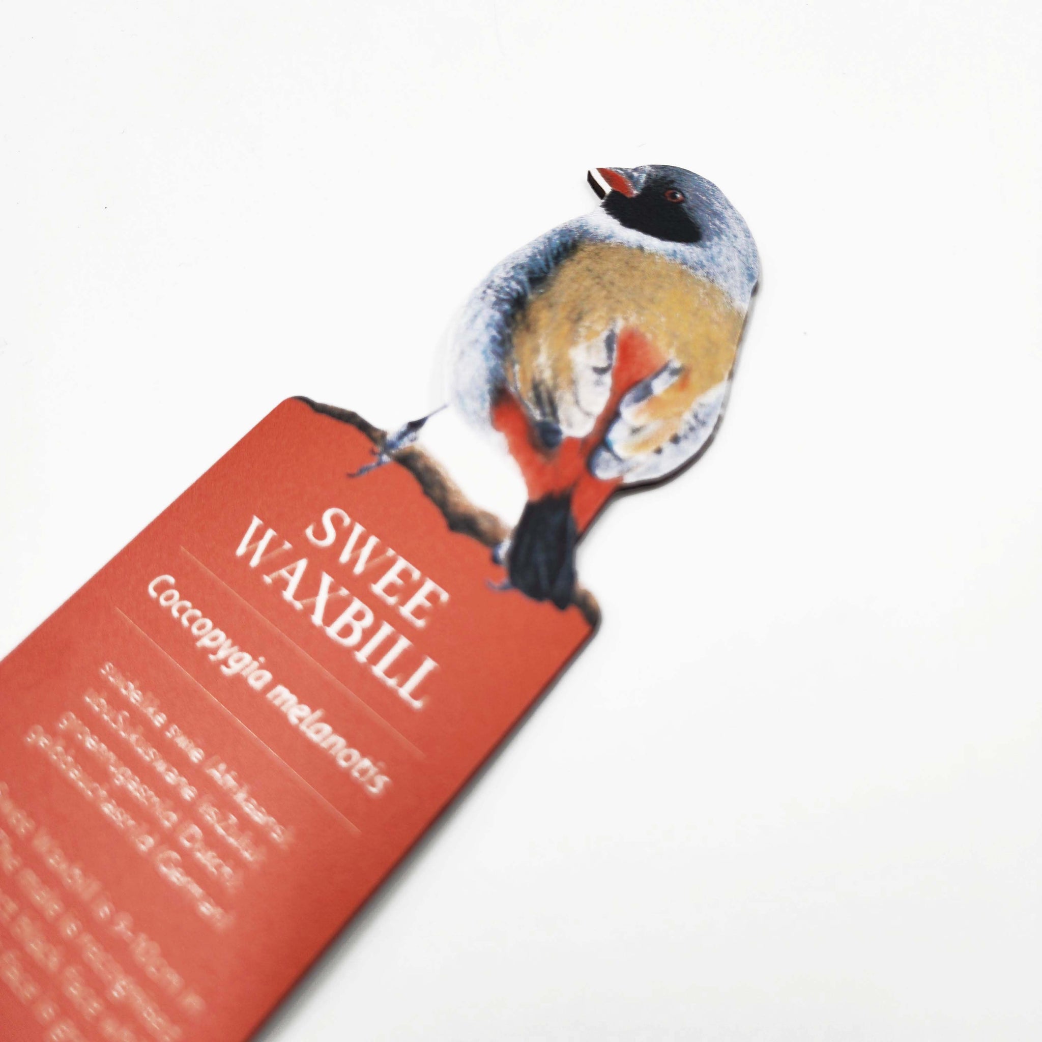 South African birds premium quality gift wooden wildlife bookmark, Swee Waxbill