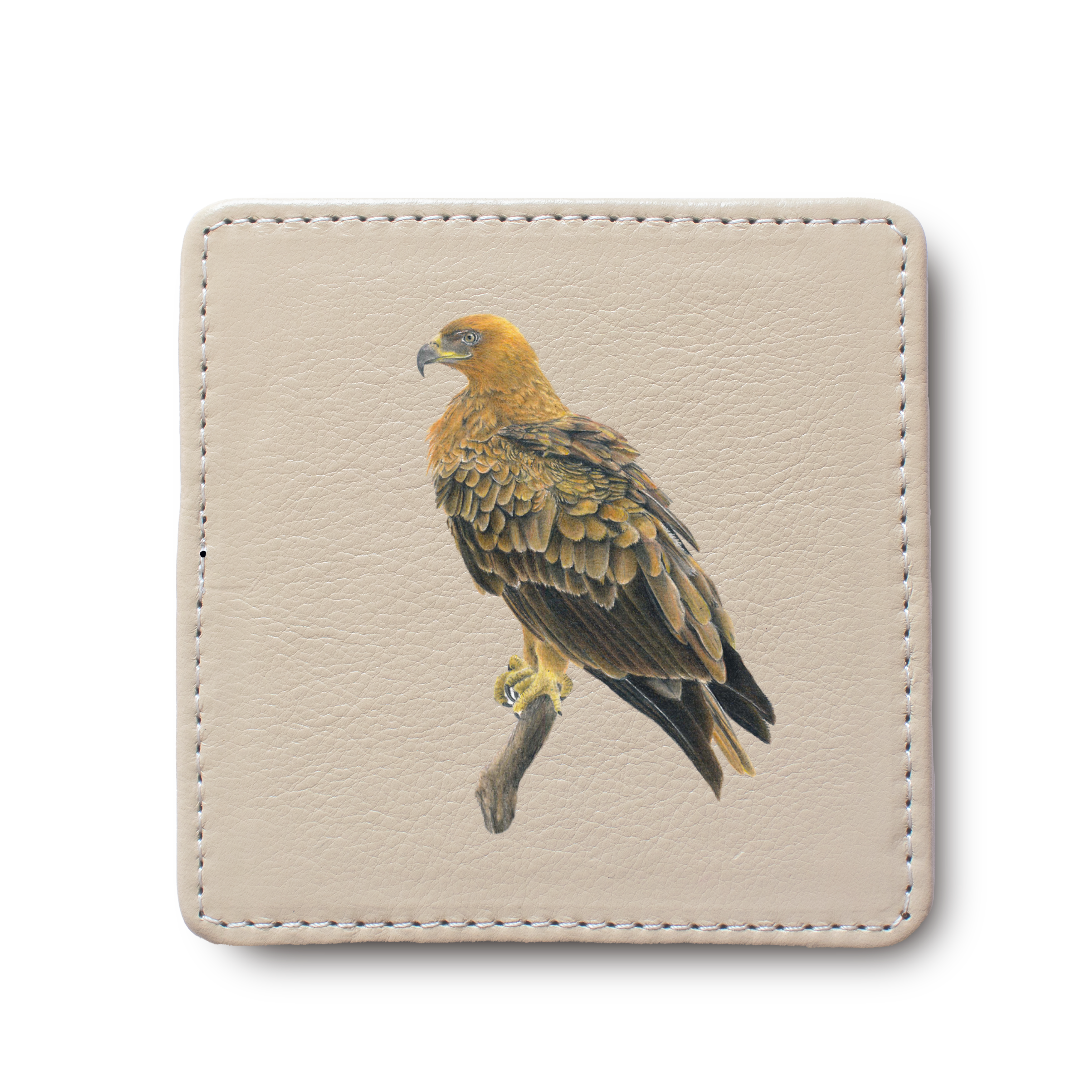 Tawny Eagle Bird leather coaster by South African wildlife artist Matthew Bell