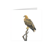 Tawny Eagle Greeting Card - TE