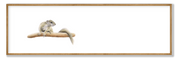 Tree Squirrel Panorama